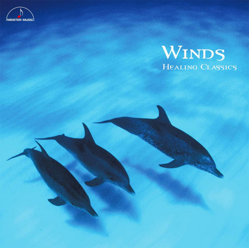 精品中文字幕一区在线
